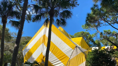 Haskell Termite & Pest Control Photo
