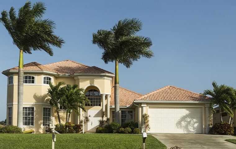florida home with large palm trees